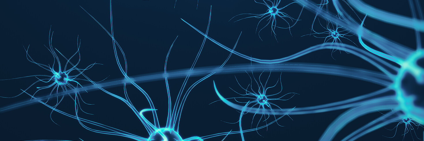 synapsen des gehirns