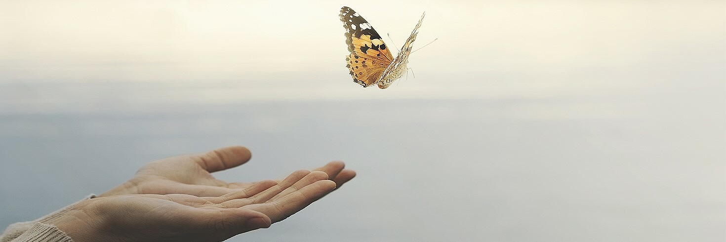 Schmetterling fliegt aus der Hand Richtung Himmel