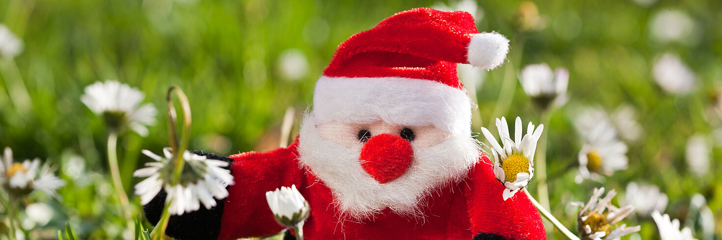 Ein Nikolaus aus Stoff sitzt in einer Blumenwiese.