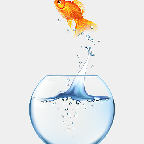 Goldfisch springt aus dem Glas
