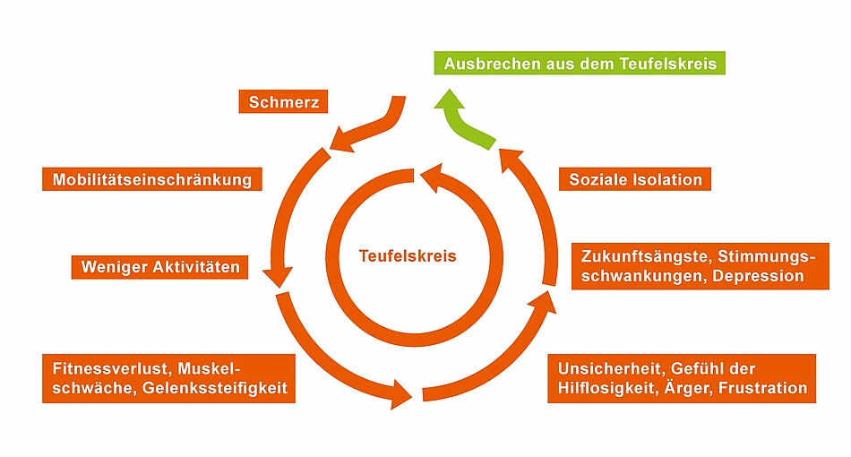 Infografik Teufelskreis Schmerz