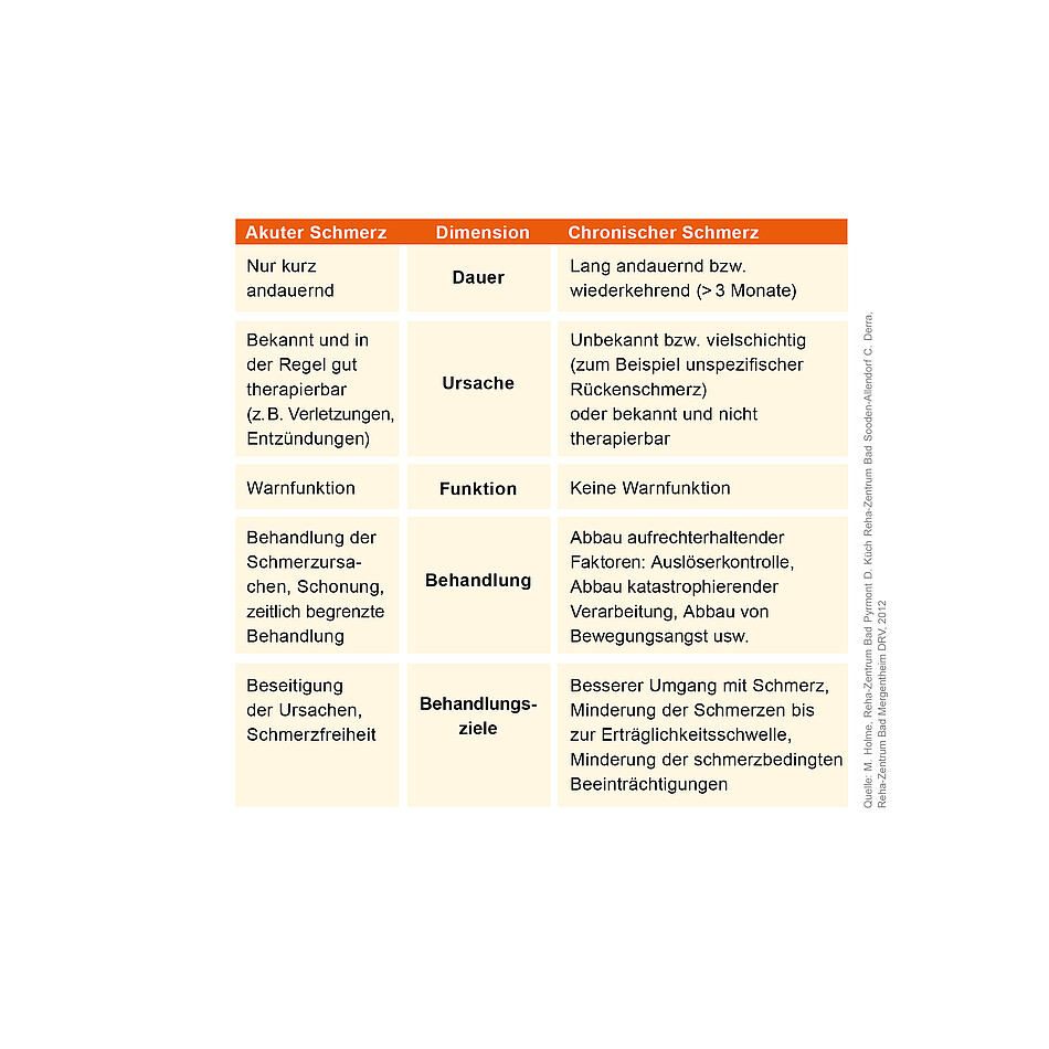 Infografik Schmerzdefinitionen