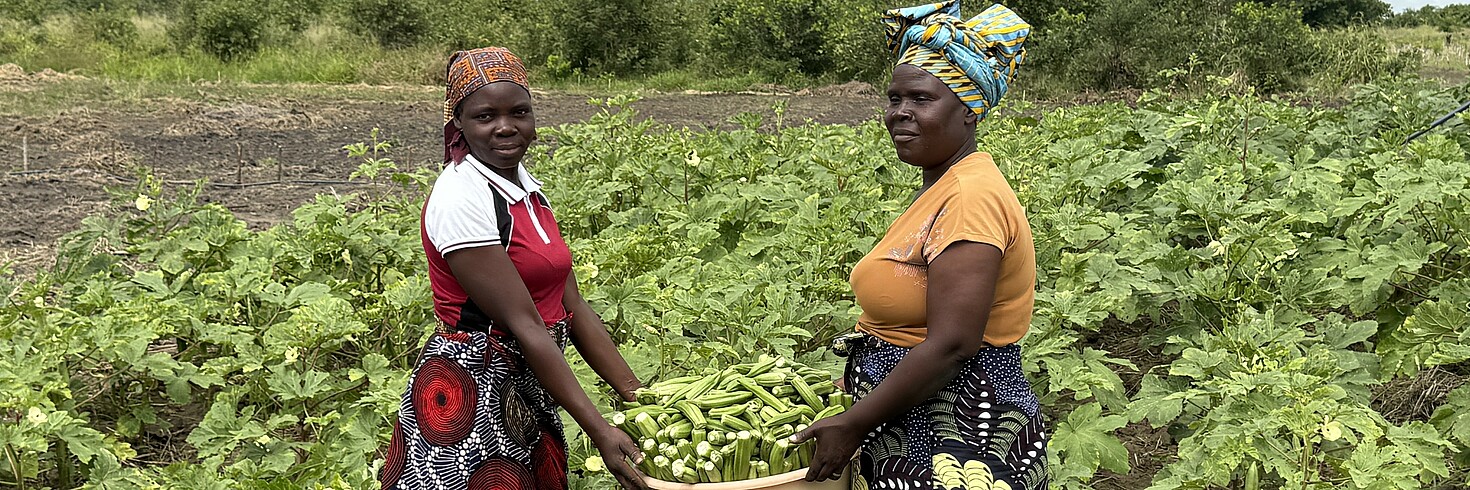 Hilfswerk International: Agriculture & Food Security