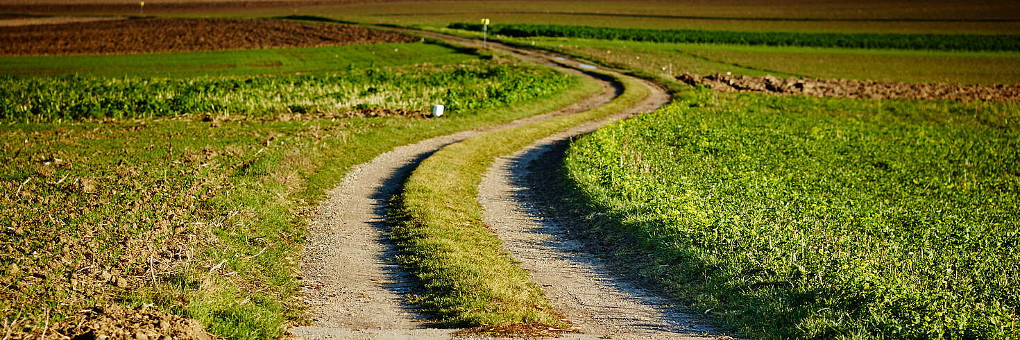 Weg am Land 