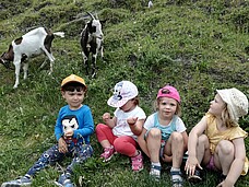 Eine Gruppe Kinder sitzt auf einer grünen Wiese am Boden, im Hintergrund sieht man Ziegen