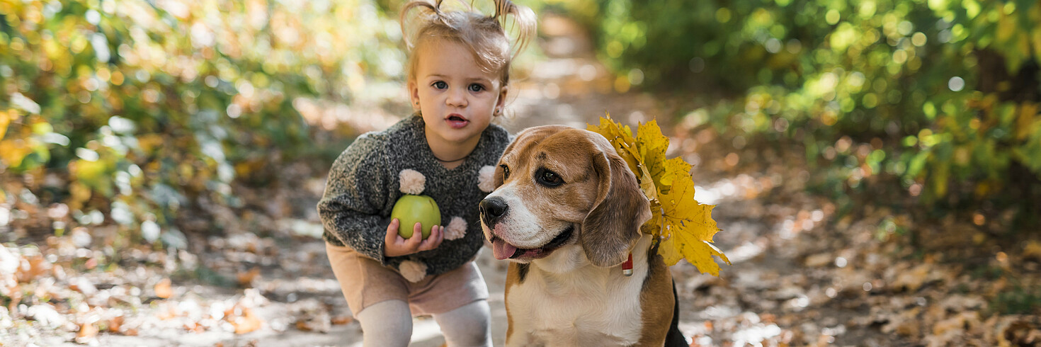 Tierische Freunde Mitmachgeschichte