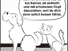 Das Verkehrteste, was du tun kannst, ist aufrecht und mit erhobenen Kopf dazustehen, weil du dich dann sofort besser fühlst.