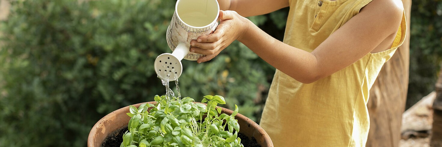 Gemeinsames Erforschen und Ausprobieren in der Natur kann dabei helfen, Kindern Nachhaltigkeit näherzubringen