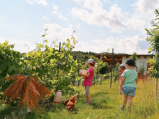 Hilfswerk Tagesmutter Pischelsdorf - Oststeiermark