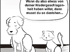 Wenn du also etwas von deiner Niedergeschlagenheit haben willst, dann musst du so dastehen ...